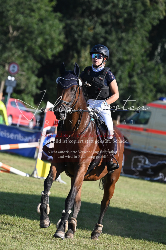DSC_4849 | Pferde- und Turnierfotografie in Westsachsen. Pferdeportraits, Auftragszeichnungen und intuitive Kunst.