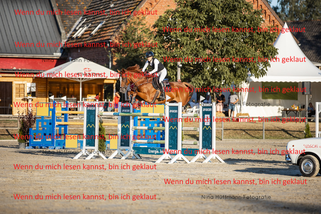 BK1A8888 | Turnierbilder Turnierfotos Nina Hüffmann Turnierfotografie Pferdefotografie Tierzeichnung Haustierzeichnung Pferdezeichnung Hundezeichnung Videograf  - Realisiert mit Pictrs.com
