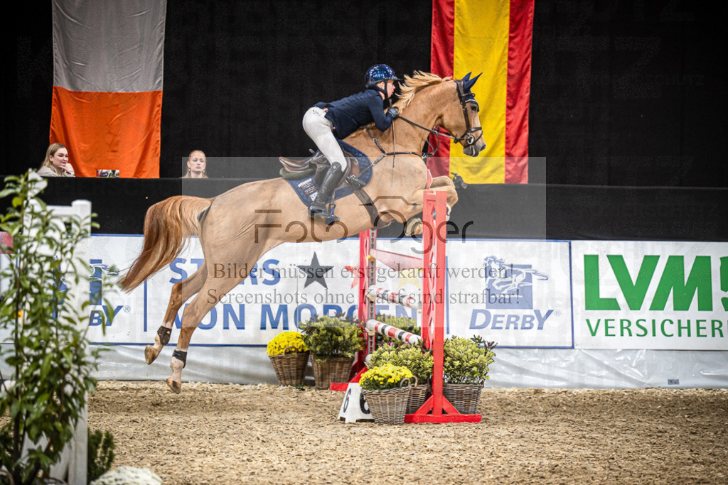 DOS_1708 | Entdecke hochwertige Reitturnierfotos von Foto Oger. Professionell, emotional und authentisch – jetzt Lieblingsmomente im Shop bestellen.Deutschlandweite Turnierfotografie. - Realisiert mit Pictrs.com