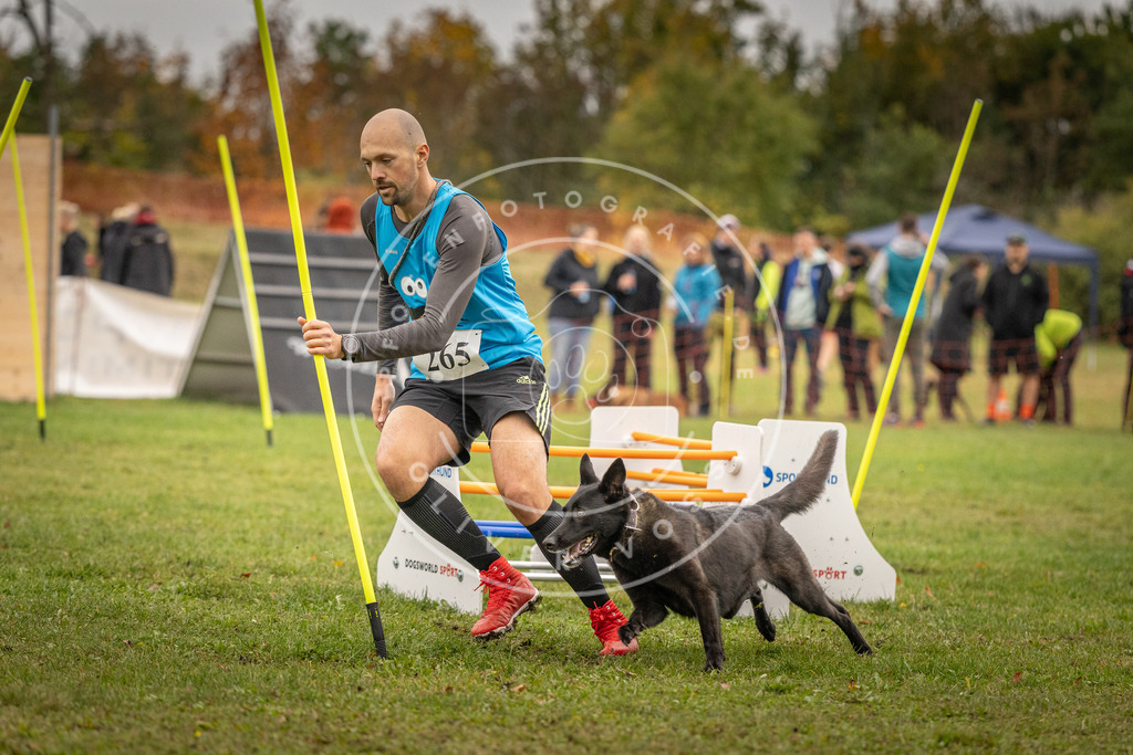 Pfotenfotografie_DV3A7050 | Hundefotografie, Tierfotograf, Pfotenfotografie, Fotoshooting Hund, Hunde Portrait, Hundesport, Hundeportraits, Heideshooting, Hunde, Sportfotograf, Hundefotograf, Turnierhundsport, THS,  - Realisiert mit Pictrs.com
