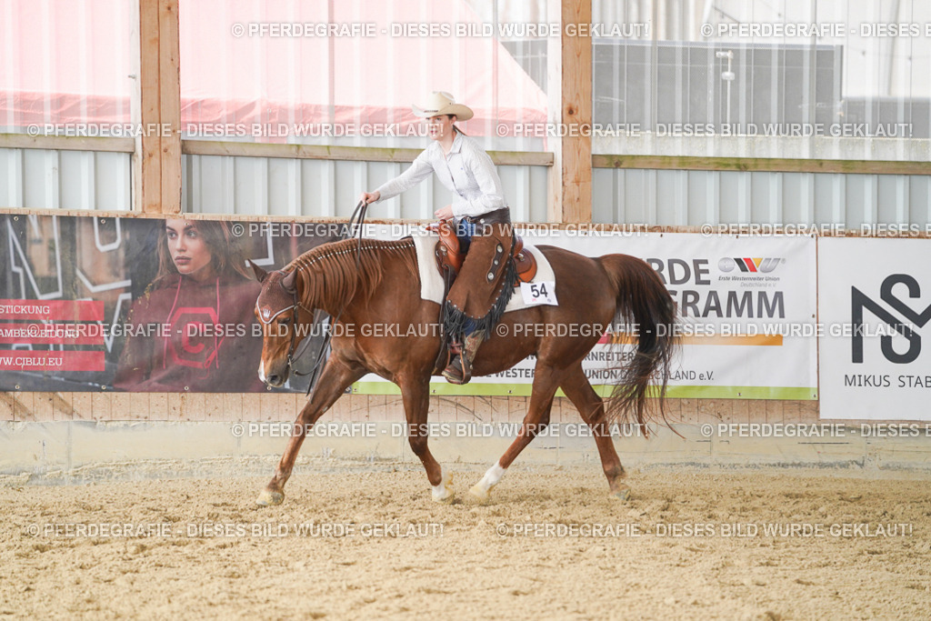 DSC01373 | Pferdegrafie