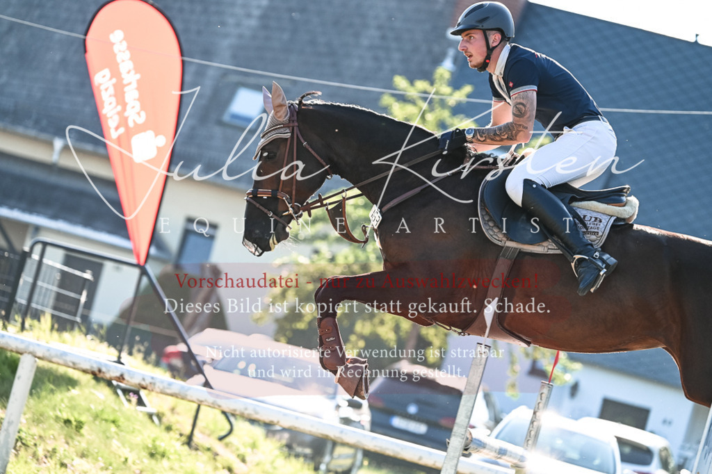 DSC_2957 | Pferde- und Turnierfotografie in Westsachsen. Pferdeportraits, Auftragszeichnungen und intuitive Kunst.