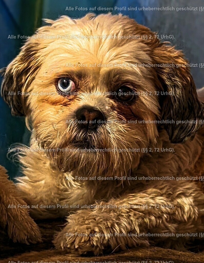 PXL_20220429_190544471_exported_1708812188543 | krollfotografie - Realisiert mit Pictrs.com