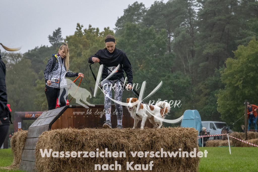 1244--8 | kk-dogfotos