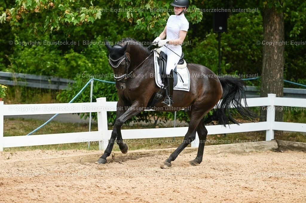 20230715_05_Dressurprüfung Kl.A++_0332 | equistock