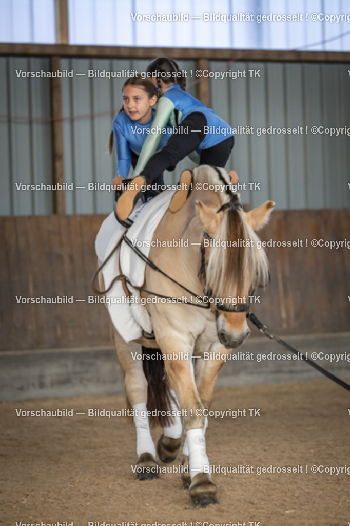 _D5A6608 | Emotionale Pferde- & People-Fotografie rund um Heidelberg, Leimen & Umgebung. Natürliche Fotos von Pferd, Mensch & Familie. Jetzt Termin sichern!