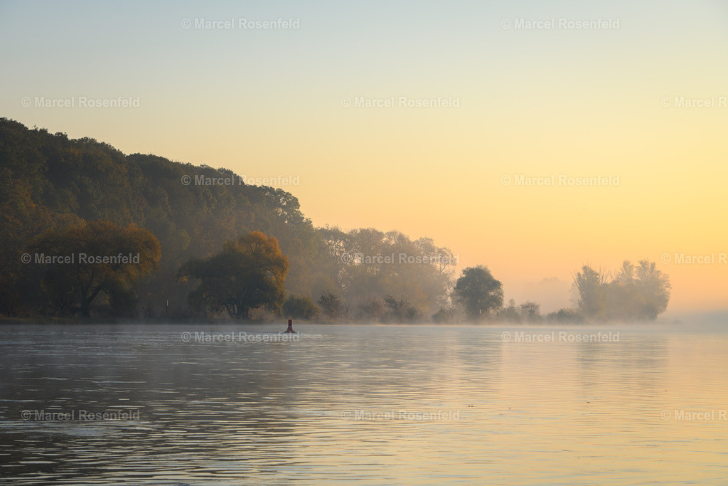 _DSC9103 (1) | foto-rosenfeld