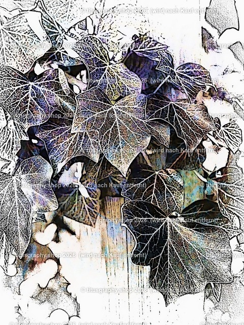 titusgraphy_P4045808-vz-ln_pe_pe-15 | titusgraphy-shop: Geschenkideen mit Qualitätsfotos. titusgraphy-shop: gift ideas with quality photos. titusgraphy-shop: idées cadeaux avec photos de qualité.  - Realisiert mit Pictrs.com