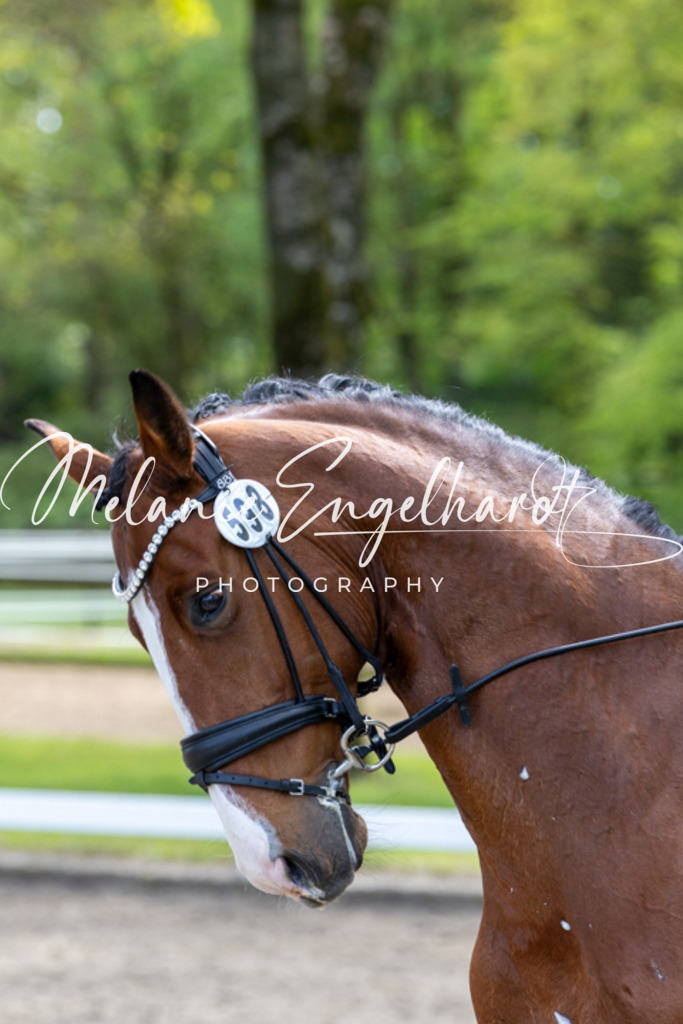 7I8A9118 | melanie-engelhardt-photography - Realisiert mit Pictrs.com