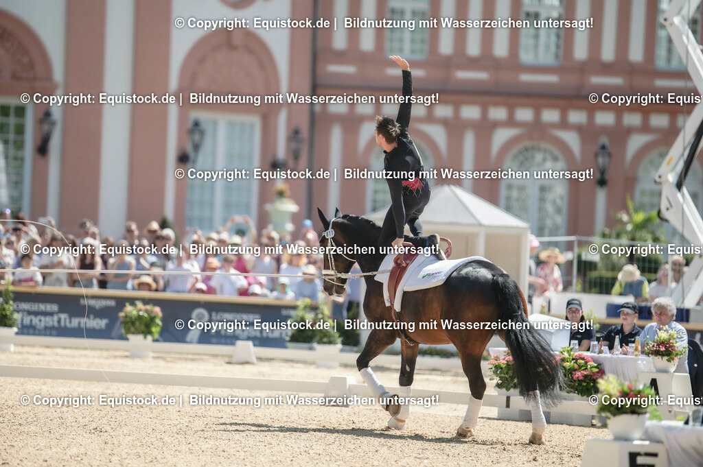 20230528_Voltigieren_NASPA_0111 | equistock