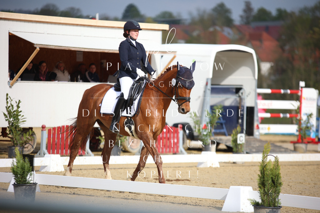 IMGT6748 | pl-fotografie