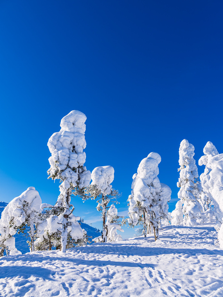 Landschaft mit Schnee im Winter in Ruka, Finnland | Landschaft mit Schnee im Winter in Ruka, Finnland.