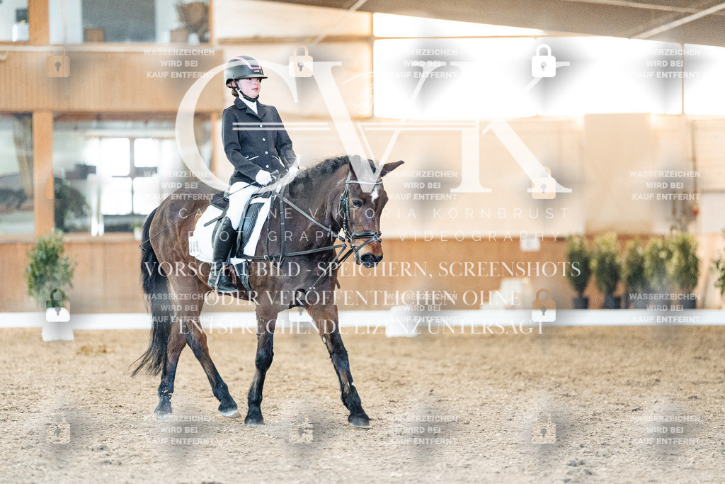 CK907151 | Turnierfotografie Pferdefotografie Trier Rheinland-Pfalz Pferdesport Reitsport Tierfotografie Sportfotografie Pferdevideo Pferdevideografie Equestrianvideography equestrianphotography  - Realisiert mit Pictrs.com