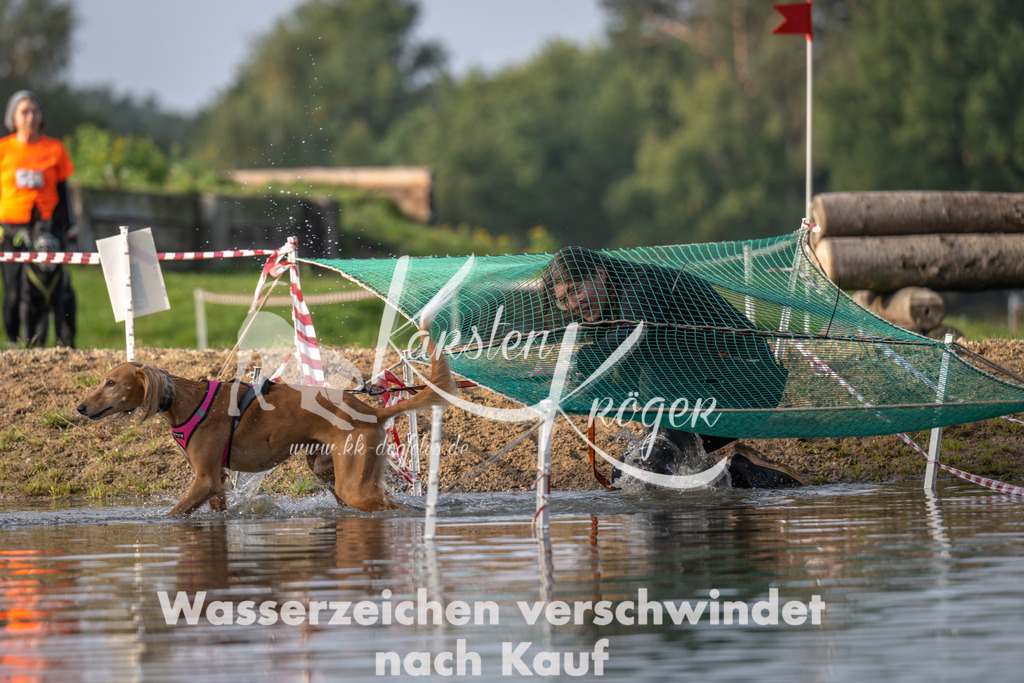1005_ZZ91797 | kk-dogfotos