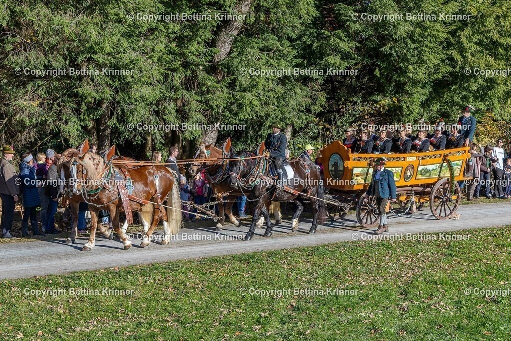 LBT25-793 | foto-bettina-krinner - Realisiert mit Pictrs.com
