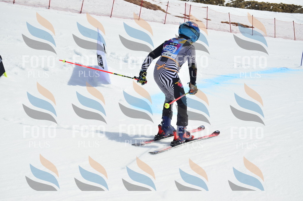 _ELE1568 | holidayphoto