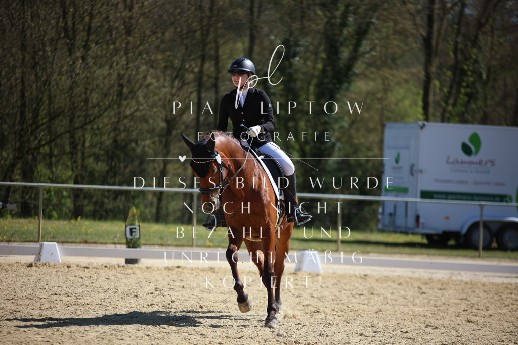 IMGT1961 | pl-fotografie