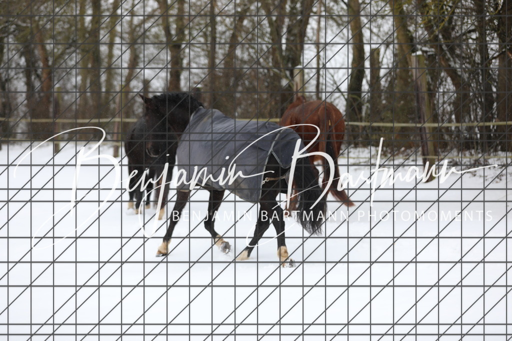 AZ2A3272 | Benjamin Bartmann Photomoments