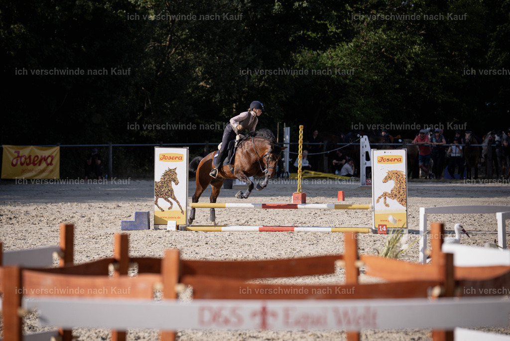 WS_SP_46_SinaFilmArt_IN09452 | working equitationturnier fotograf videograf stoibphotography marixx film working equitation deutschland reitsport turnierfotografie eventfotografie equestrian events