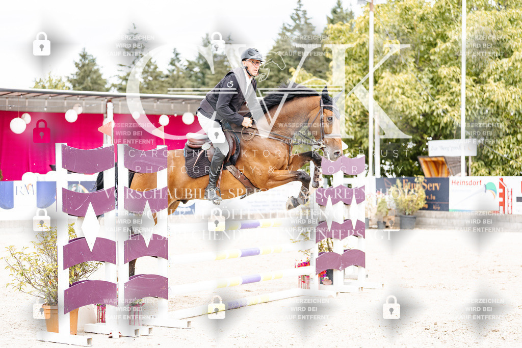 CK909371 | Turnierfotografie Pferdefotografie Trier Rheinland-Pfalz Pferdesport Reitsport Tierfotografie Sportfotografie Pferdevideo Pferdevideografie Equestrianvideography equestrianphotography  - Realisiert mit Pictrs.com