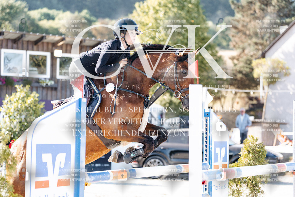 CK904264 | Turnierfotografie Pferdefotografie Trier Rheinland-Pfalz Pferdesport Reitsport Tierfotografie Sportfotografie Pferdevideo Pferdevideografie Equestrianvideography equestrianphotography  - Realisiert mit Pictrs.com