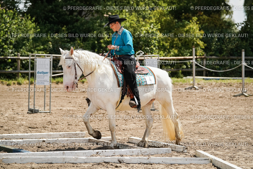 DSC07278 | Pferdegrafie