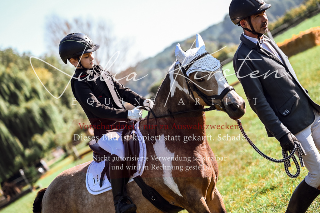 DSC_0312 | Pferde- und Turnierfotografie in Westsachsen. Pferdeportraits, Auftragszeichnungen und intuitive Kunst.