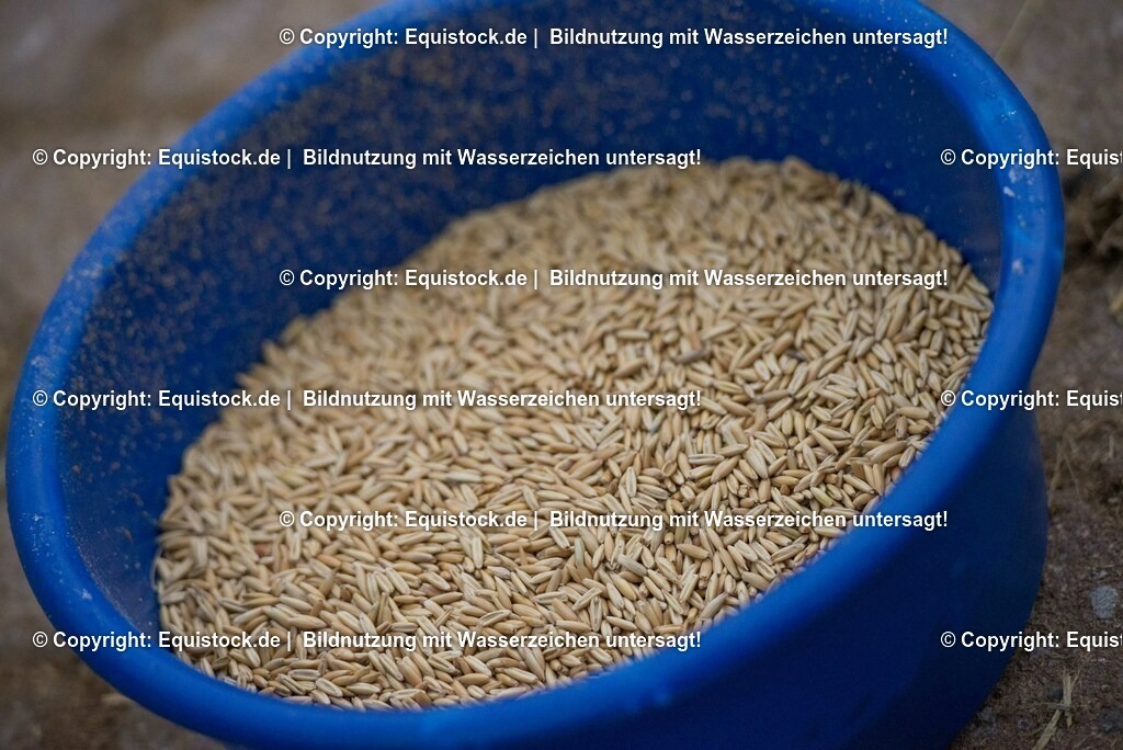 20170118_Hafer_0002 | Foto: Thomas Hartig