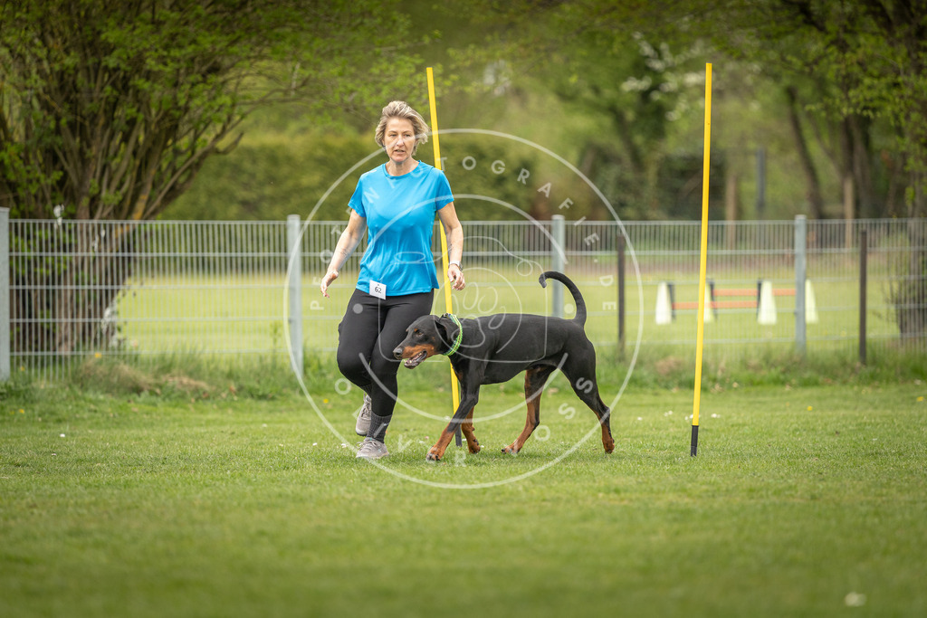 Pfotenfotografie_DV3A1752 | Hundefotografie, Tierfotograf, Pfotenfotografie, Fotoshooting Hund, Hunde Portrait, Hundesport, Hundeportraits, Heideshooting, Hunde, Sportfotograf, Hundefotograf, Turnierhundsport, THS,  - Realisiert mit Pictrs.com