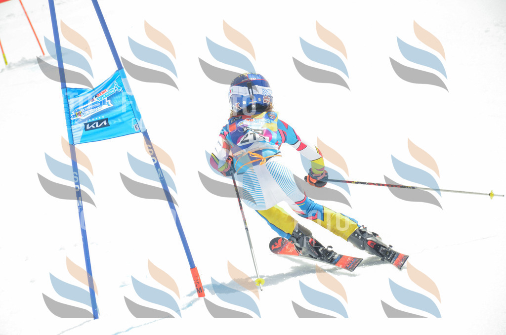 _ELE7741 | holidayphoto