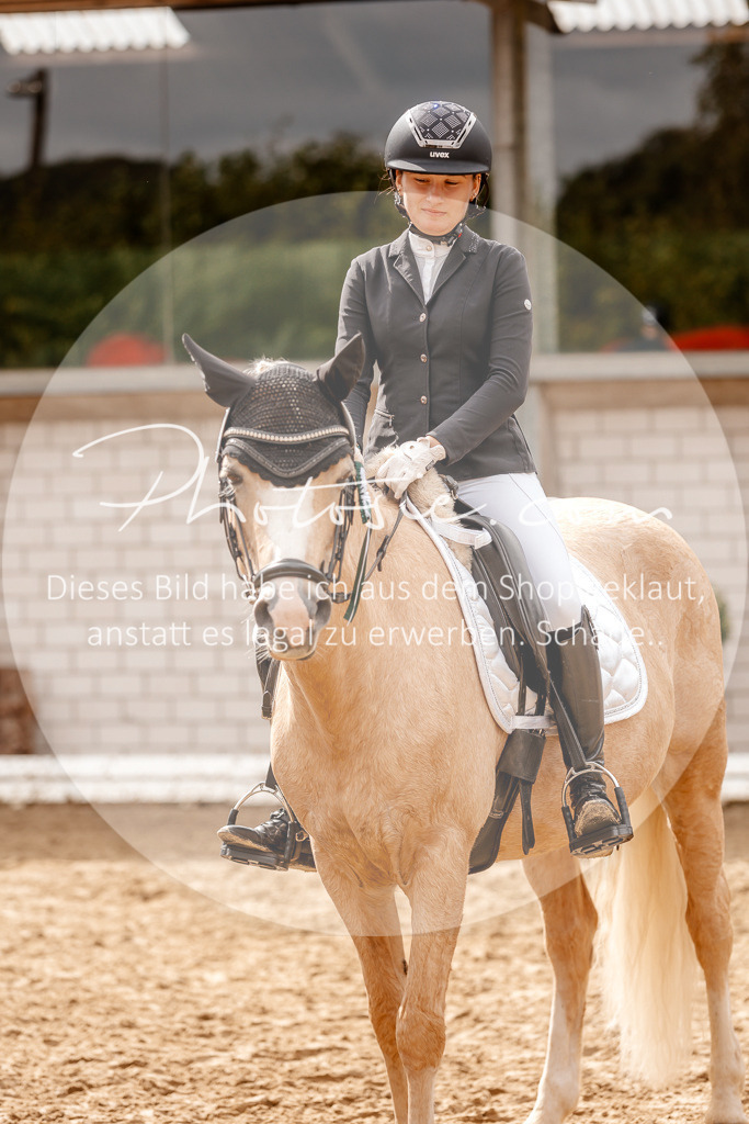 3I6A7620 | Stimmungsvolle Portraits und Reitsportfotografie im Ruhrgebiet und im Münsterland.

Pferdefotografie, Hundefotografie, Tierfotografie, Reportagen, Portraits von Tier und Mensch, Turnierfotografie in Bochum, Recklinghausen, Marl, Haltern am See, Dülmen.. - Realisiert mit Pictrs.com
