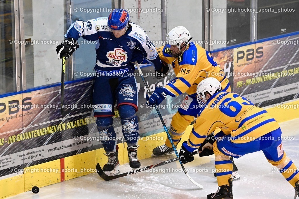 ESC Steindorf vs. EHC Althofen 13.1.2024 | #91 Kravania Kristian, #63 Hammerle Simon, #65 Lungkofler Gerald
