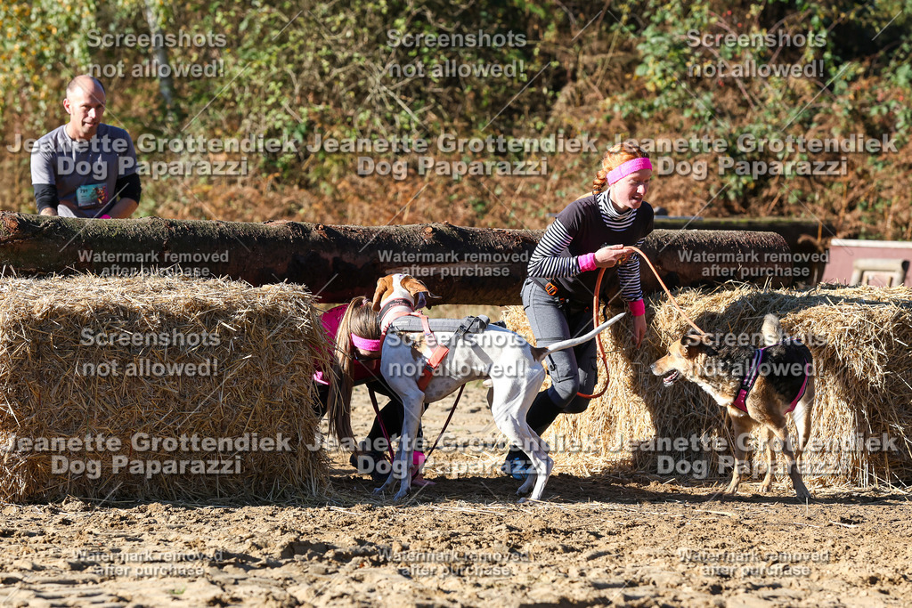 Dog Paparazzi - Strongdog 10-25-1944 | Dog Paparazzi Jeanette Grottendiek Fotografie & Videografie - Realisiert mit Pictrs.com