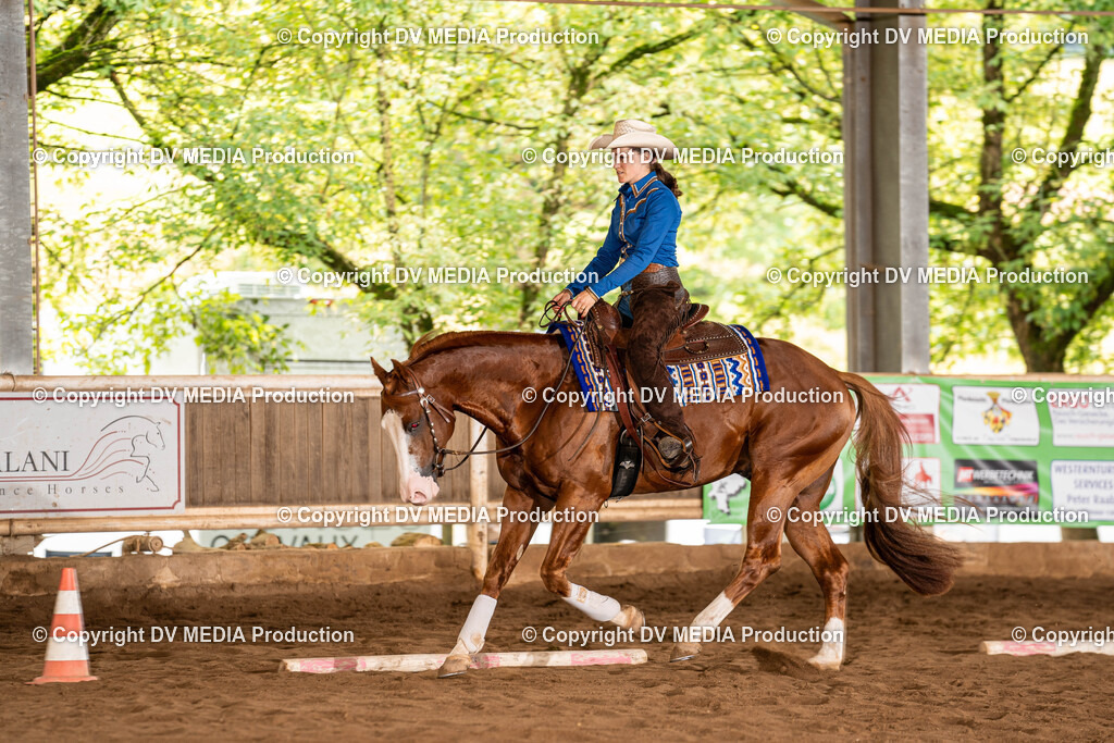 Erbach Tag 1-240 | dv-media-shop - Realisiert mit Pictrs.com