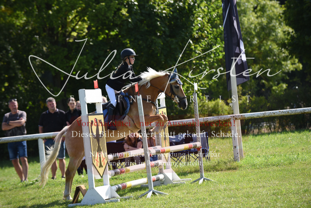 DSC_9059 | Pferde- und Turnierfotografie in Westsachsen. Pferdeportraits, Auftragszeichnungen und intuitive Kunst.