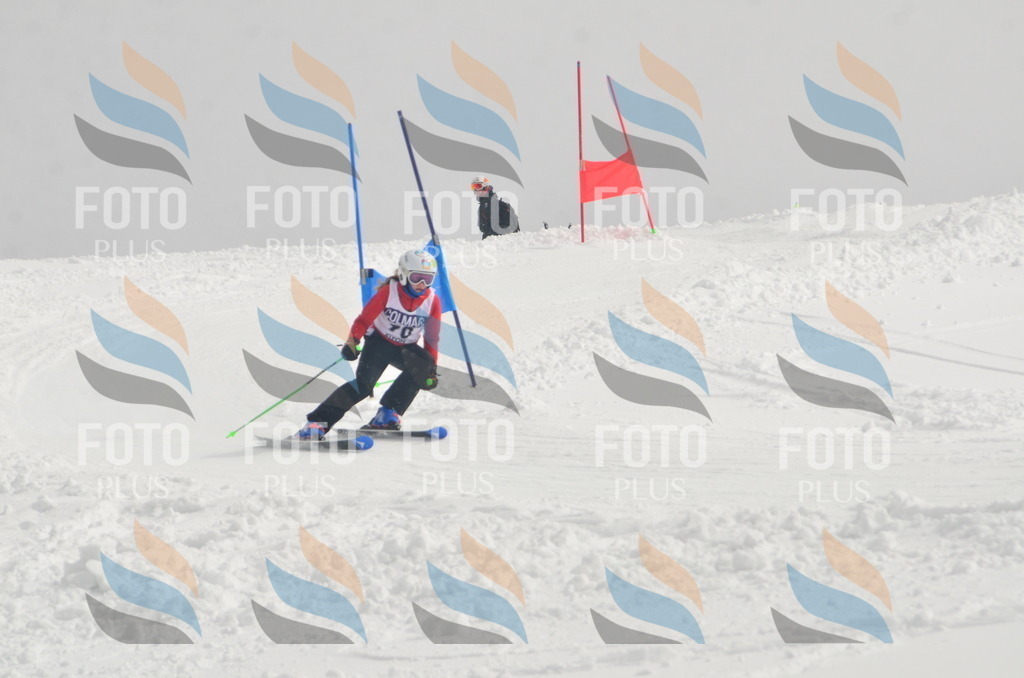 A5571 | holidayphoto