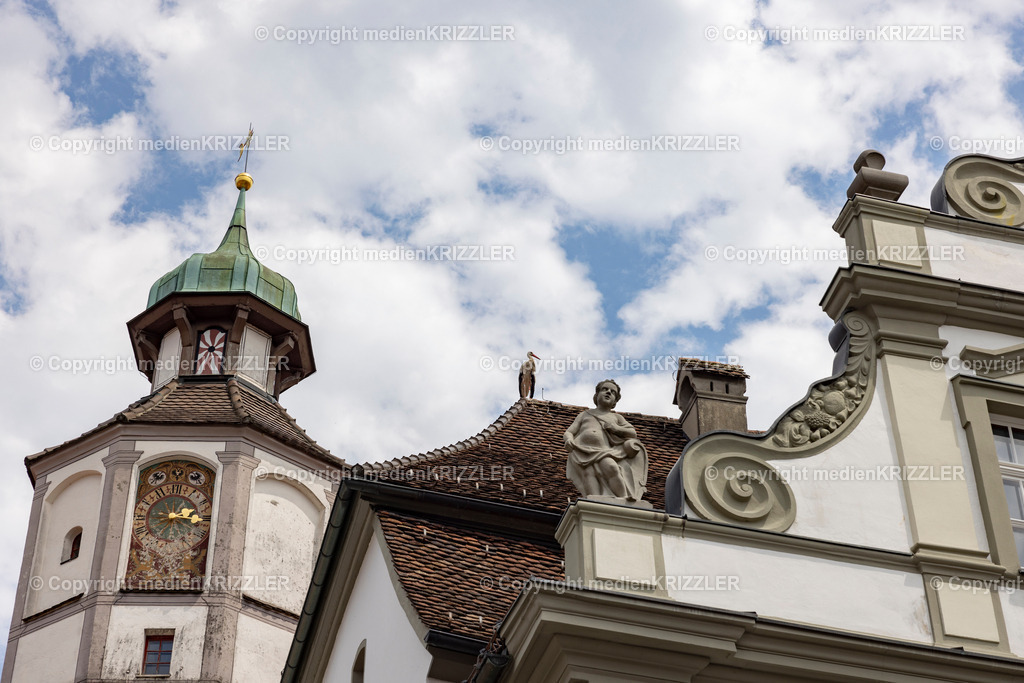 Wangen | medienkrizzler - Realisiert mit Pictrs.com