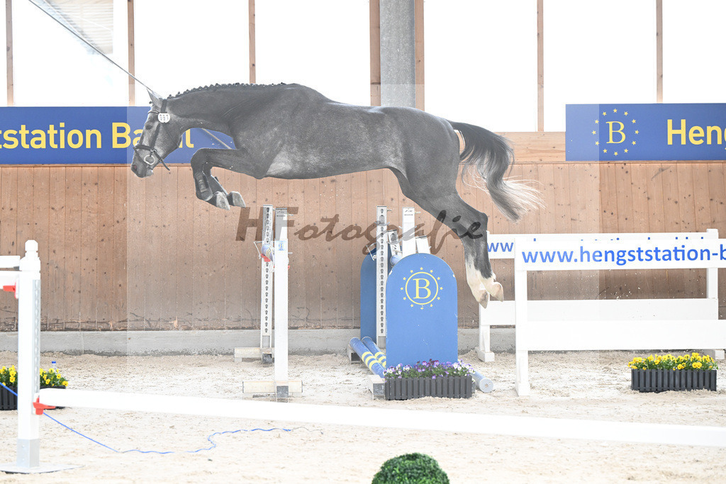 Kat-Nr. 91 Radetsky S v. El Torreo de Muze_KES Kreidl_5250417 | hf-fotografie - Realisiert mit Pictrs.com