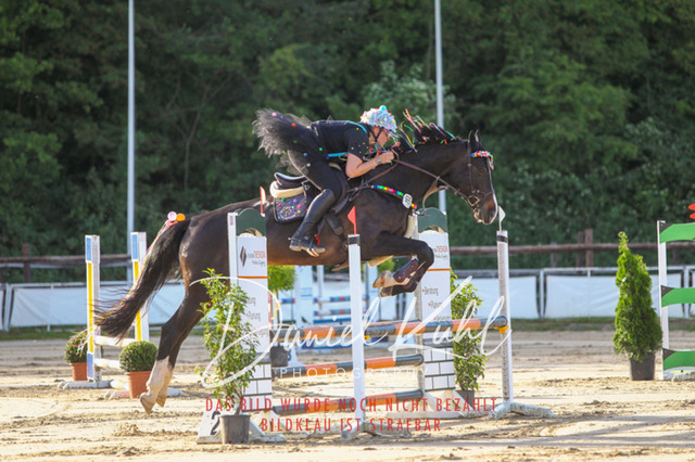 DKP45155 | Turnierfotos kaufen im Webshop von Daniel Kuhl Photography – entdecke professionelle Reitsportfotos aus Turnieren & Events. Hochwertige Turnierbilder online bestellen & sichern. Jetzt Fotos von Reitsportturnieren kaufen!