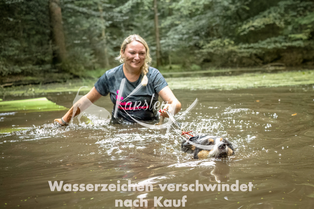 1451_ZZ94001-Bearbeitet | kk-dogfotos