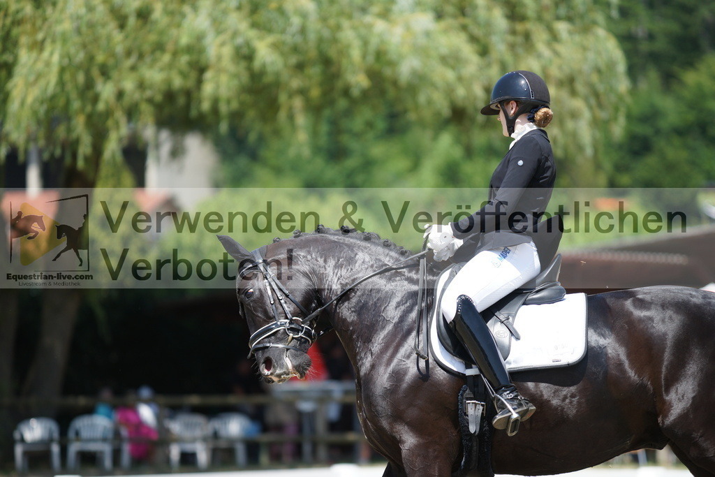 DSC03576 | equestrian-live-com