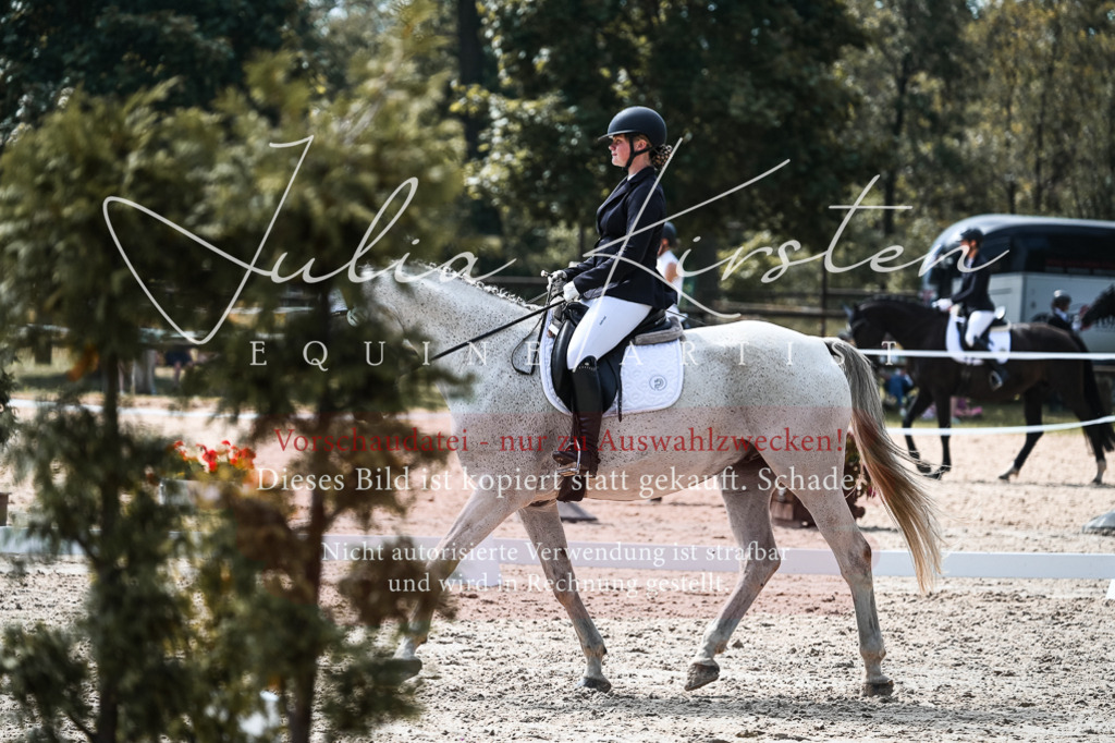 DSC_5287 | Pferde- und Turnierfotografie in Westsachsen. Pferdeportraits, Auftragszeichnungen und intuitive Kunst.