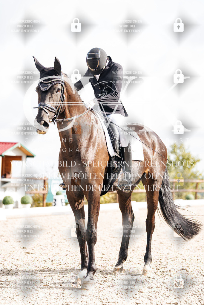 CK901808 | Turnierfotografie Pferdefotografie Trier Rheinland-Pfalz Pferdesport Reitsport Tierfotografie Sportfotografie Pferdevideo Pferdevideografie Equestrianvideography equestrianphotography  - Realisiert mit Pictrs.com