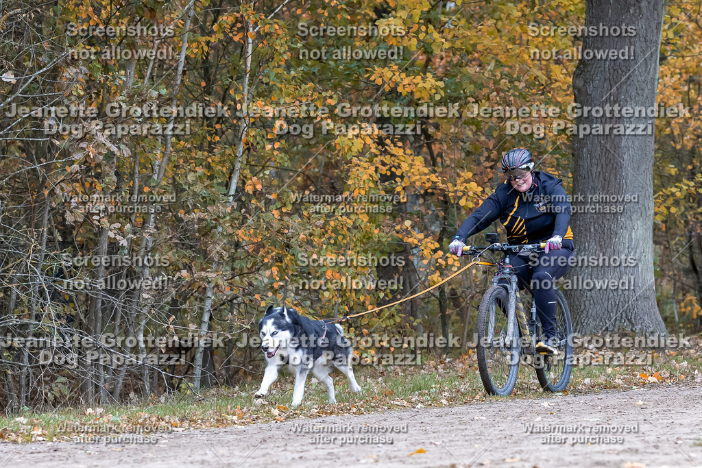 Dog Paparazzi - SD CaniX Championship 2025-589 | Dog Paparazzi Jeanette Grottendiek Fotografie & Videografie - Realisiert mit Pictrs.com