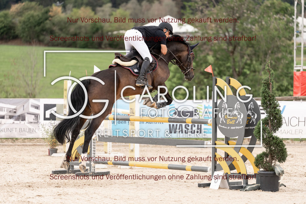 DSC06531 | Springturnier_Teamchallege_Talheim_2026, Dirk_Chudzinsky, Dia_Corrada_2