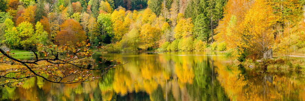 belchen_161024-161-2 | <div id="allefotografen-seal-verified-green"></div><script src="https://www.allefotografen.de/956728/seal-verified-green/seal.js" async="async"></script> - Realisiert mit Pictrs.com