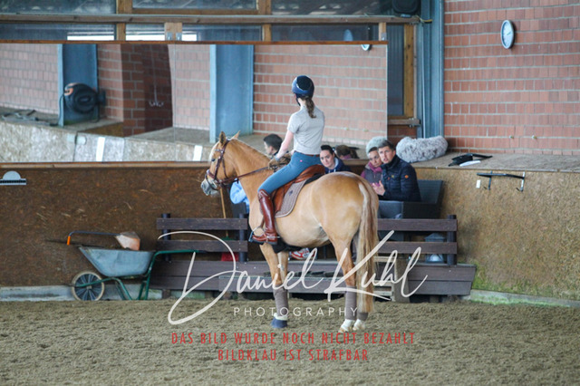 DKP42934 | Turniersportfotografie; Pferdefotografie; Dressurfotografie