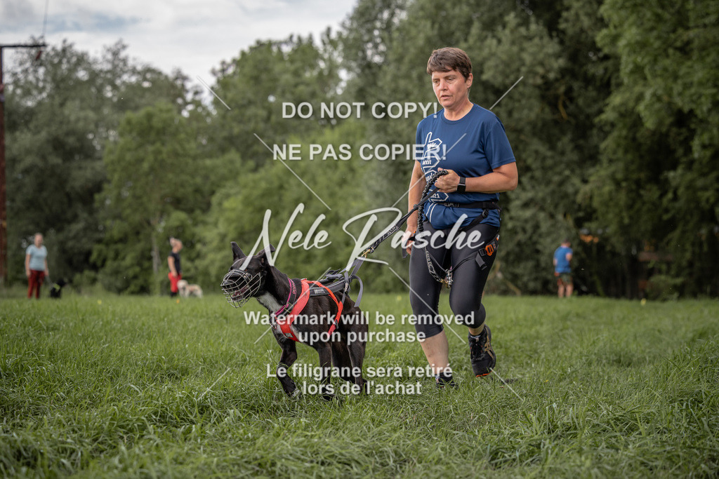 nelerasche_DoN_150 | nelerasche