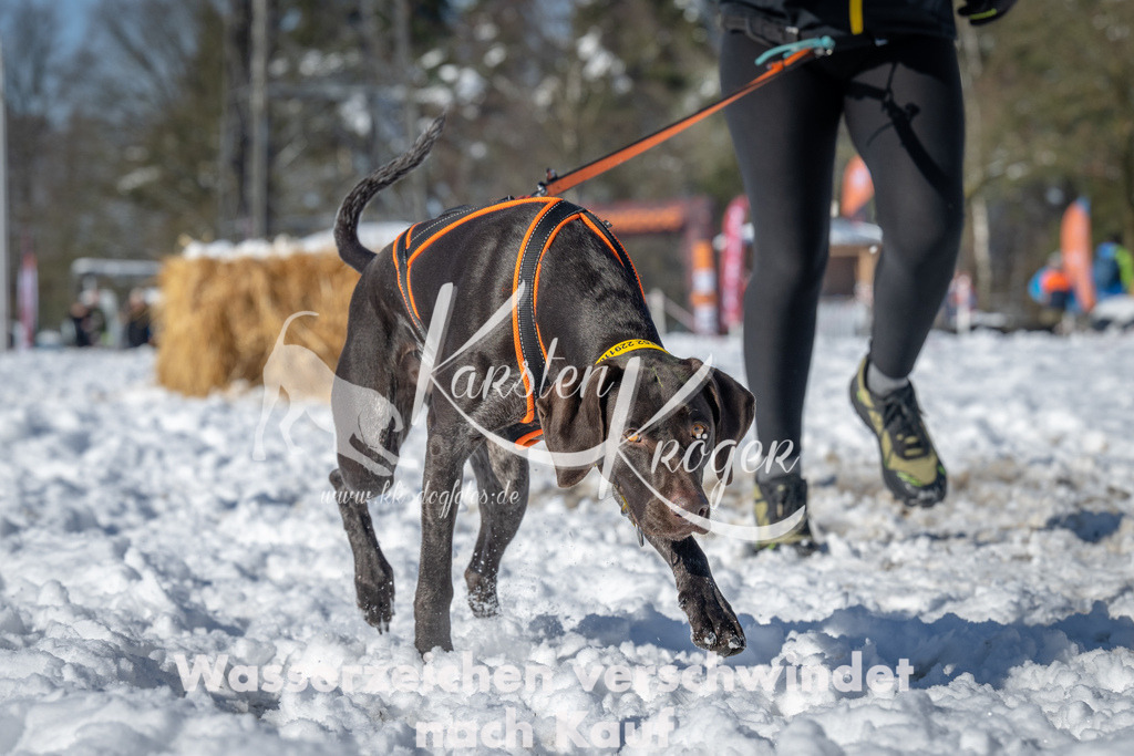 1058_ZZ93977-2 | kk-dogfotos