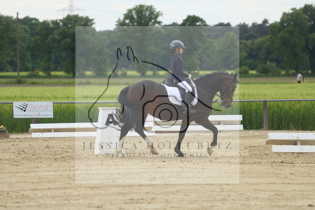 IMG_5077 | jessicahollubetz_pferdephotographie - Realisiert mit Pictrs.com